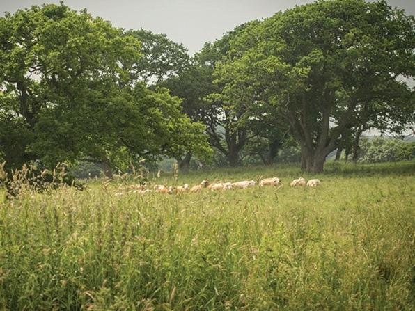 The Walhampton Arms Bed & Breakfast Lymington Bagian luar foto